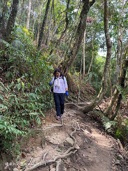 Photo 2021-2-25, 11 52 14_batch.jpg Photo 2021-2-25, 11 52 14_batch.jpg