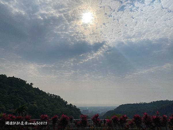 Photo 2021-3-1, 09 07 56_batch.jpg Photo 2021-3-1, 09 07 56_batch.jpg