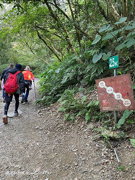 Photo 2021-3-1, 09 34 56_batch.jpg Photo 2021-3-1, 09 34 56_batch.jpg