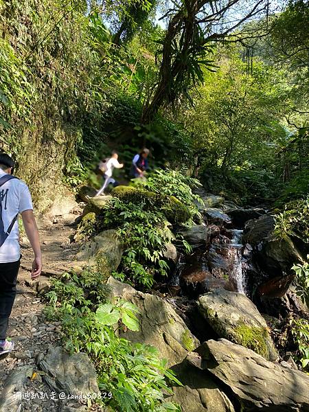 Photo 2021-3-1, 10 05 06_batch.jpg Photo 2021-3-1, 10 05 06_batch.jpg