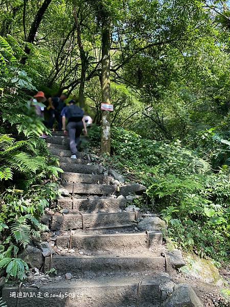 Photo 2021-3-1, 10 11 20_batch.jpg Photo 2021-3-1, 10 11 20_batch.jpg