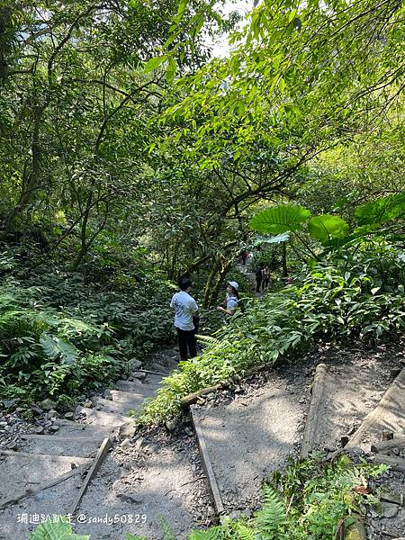 Photo 2021-3-1, 10 14 11_batch.jpg Photo 2021-3-1, 10 14 11_batch.jpg