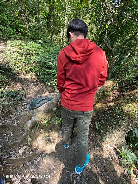 Photo 2021-3-1, 10 53 48_batch.jpg Photo 2021-3-1, 10 53 48_batch.jpg