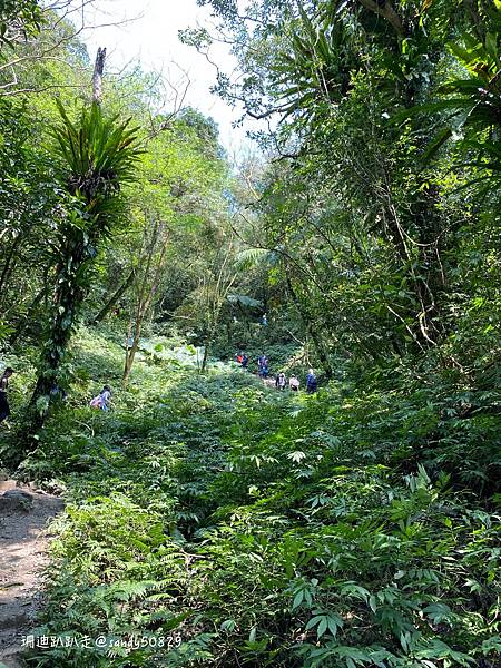 Photo 2021-3-1, 11 08 09_batch.jpg Photo 2021-3-1, 11 08 09_batch.jpg