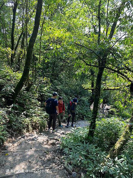 Photo 2021-3-1, 11 13 00_batch.jpg Photo 2021-3-1, 11 13 00_batch.jpg