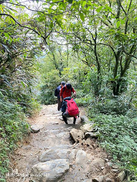 Photo 2021-3-1, 11 37 16_batch.jpg Photo 2021-3-1, 11 37 16_batch.jpg