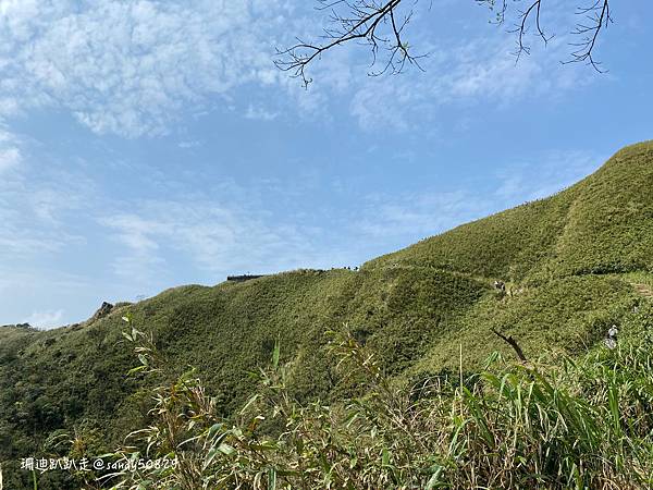 Photo 2021-3-1, 11 59 43_batch.jpg Photo 2021-3-1, 11 59 43_batch.jpg