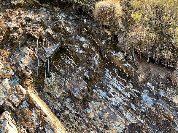 Photo 2021-3-8, 09 09 24_batch.jpg