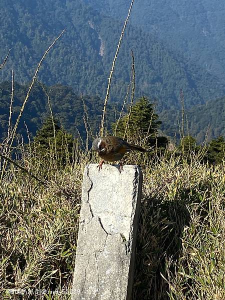 Photo 2021-3-8, 09 32 28_batch.jpg