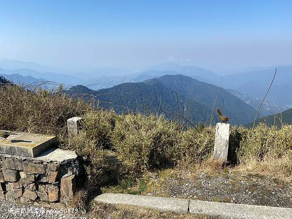 Photo 2021-3-8, 09 32 19_batch.jpg