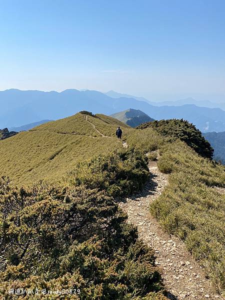 Photo 2021-3-8, 10 24 37_batch.jpg