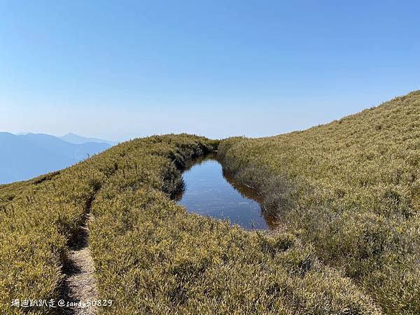 Photo 2021-3-8, 10 28 02_batch.jpg