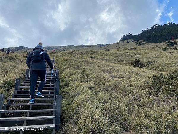 Photo 2021-3-8, 13 55 26_batch.jpg Photo 2021-3-8, 13 55 26_batch.jpg