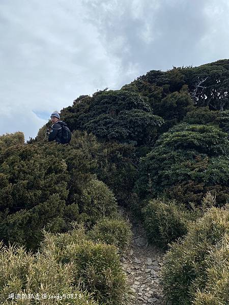 Photo 2021-3-8, 14 38 06_batch.jpg Photo 2021-3-8, 14 38 06_batch.jpg