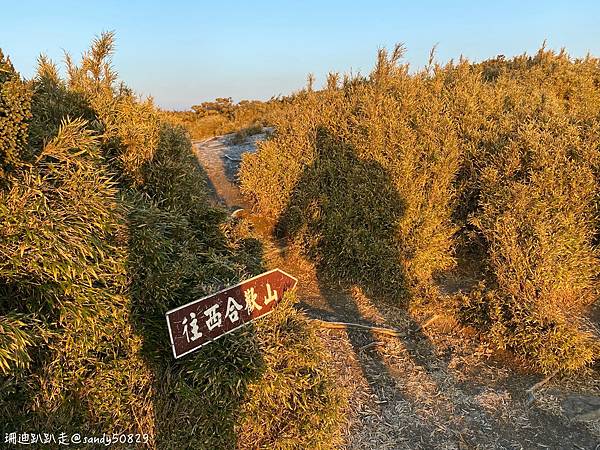 Photo 2021-3-9, 06 26 53_batch.jpg