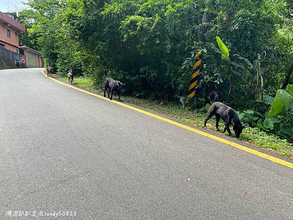 Photo 2021-3-28, 13 14 18_batch.jpg Photo 2021-3-28, 13 14 18_batch.jpg