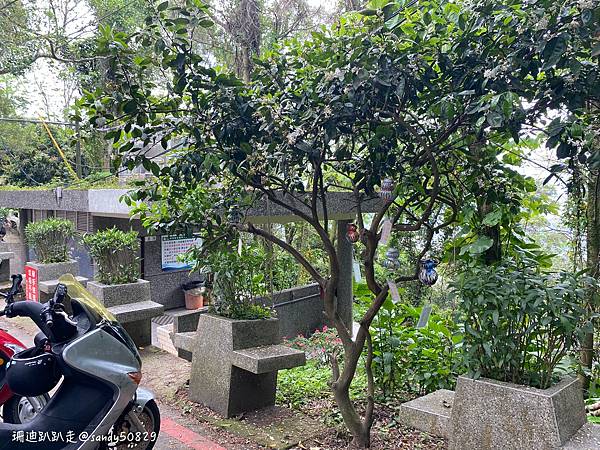 Photo 2021-3-28, 13 37 41_batch.jpg Photo 2021-3-28, 13 37 41_batch.jpg