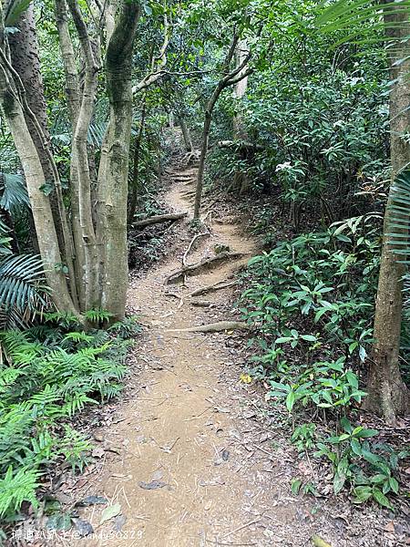 Photo 2021-3-28, 14 06 46_batch.jpg Photo 2021-3-28, 14 06 46_batch.jpg