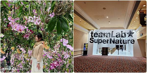 港澳過年遊// 澳門teamLab超自然空間。沈浸式光影美術