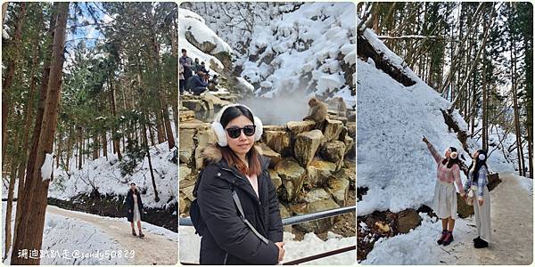 日本長野東京// 地獄谷野猿公苑。看野生猴子泡溫泉