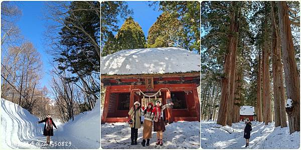 日本長野東京// 冬季戶隱神社半日遊。壯觀的雪中杉木林彷彿誤
