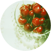 food20.gif