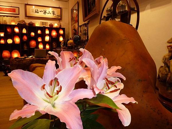 鹽燈專賣店 象山第一站 玫瑰鹽燈 鹽燈專賣店 象山第一站 玫瑰鹽燈