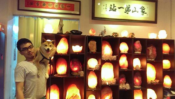 鹽燈情人節 毛小孩享受鹽燈SPA