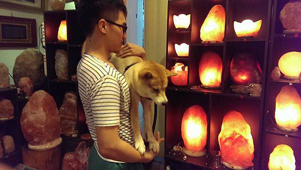 鹽燈與毛小孩 象山第一站