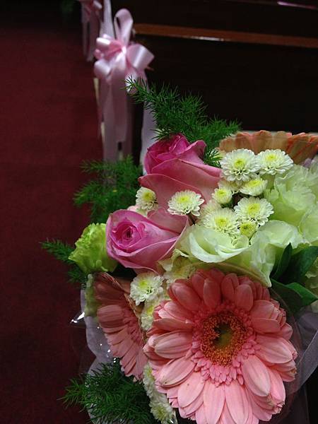 IMG_3352 IMG_3352