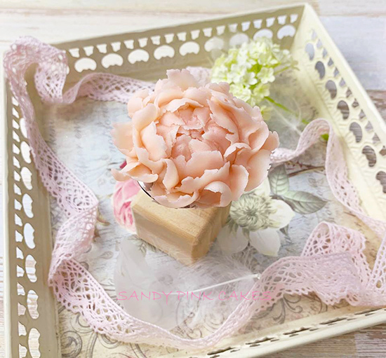 48930731_307146203338302_5033785757781721088_n