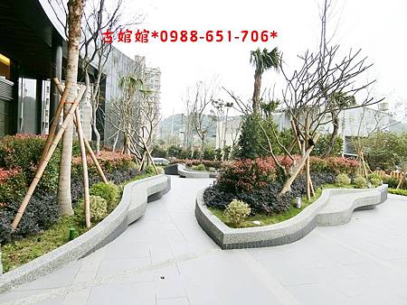 CIMG1767.JPG CIMG1767.JPG