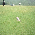 DSCN0198.JPG