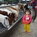 DSC08001.JPG