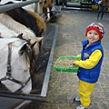 DSC08002.JPG