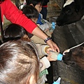 DSC08010.JPG