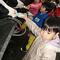 DSC08012.JPG