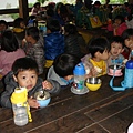 DSC08019.JPG