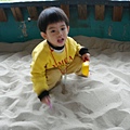 DSC08052.JPG