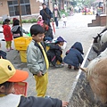P1010014.JPG