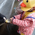 P1010016.JPG