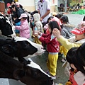 P1010017.JPG