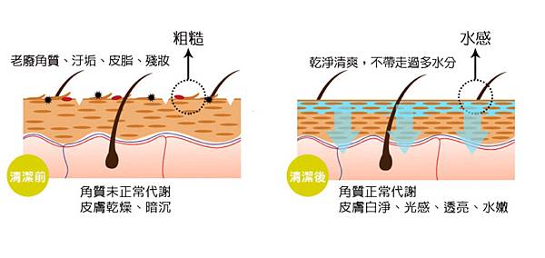 試用