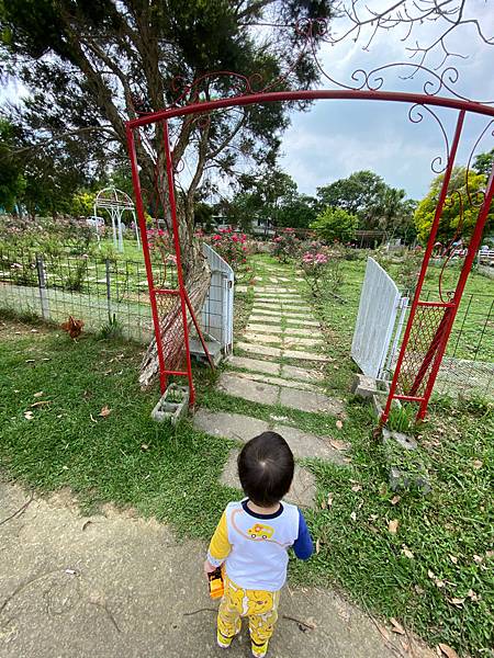 [心得] 桃園富田農場-帶寶寶來看草泥馬：）