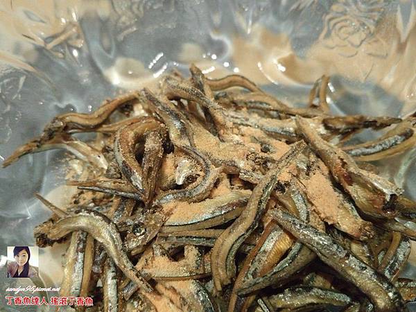 丁香魚達人 搖滾丁香魚~