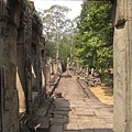IMG_7456.JPG