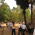 IMG_7465.JPG