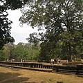 IMG_7475.JPG