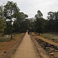 IMG_7482.JPG