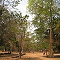 IMG_7516.JPG